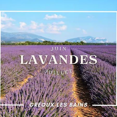 Verdon Secret - L'Escapade Parfaite Gréoux-les-Bains Dış mekan fotoğraf