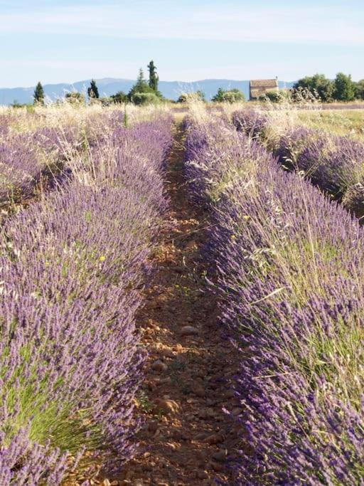 Verdon Secret - L'Escapade Parfaite Gréoux-les-Bains Dış mekan fotoğraf